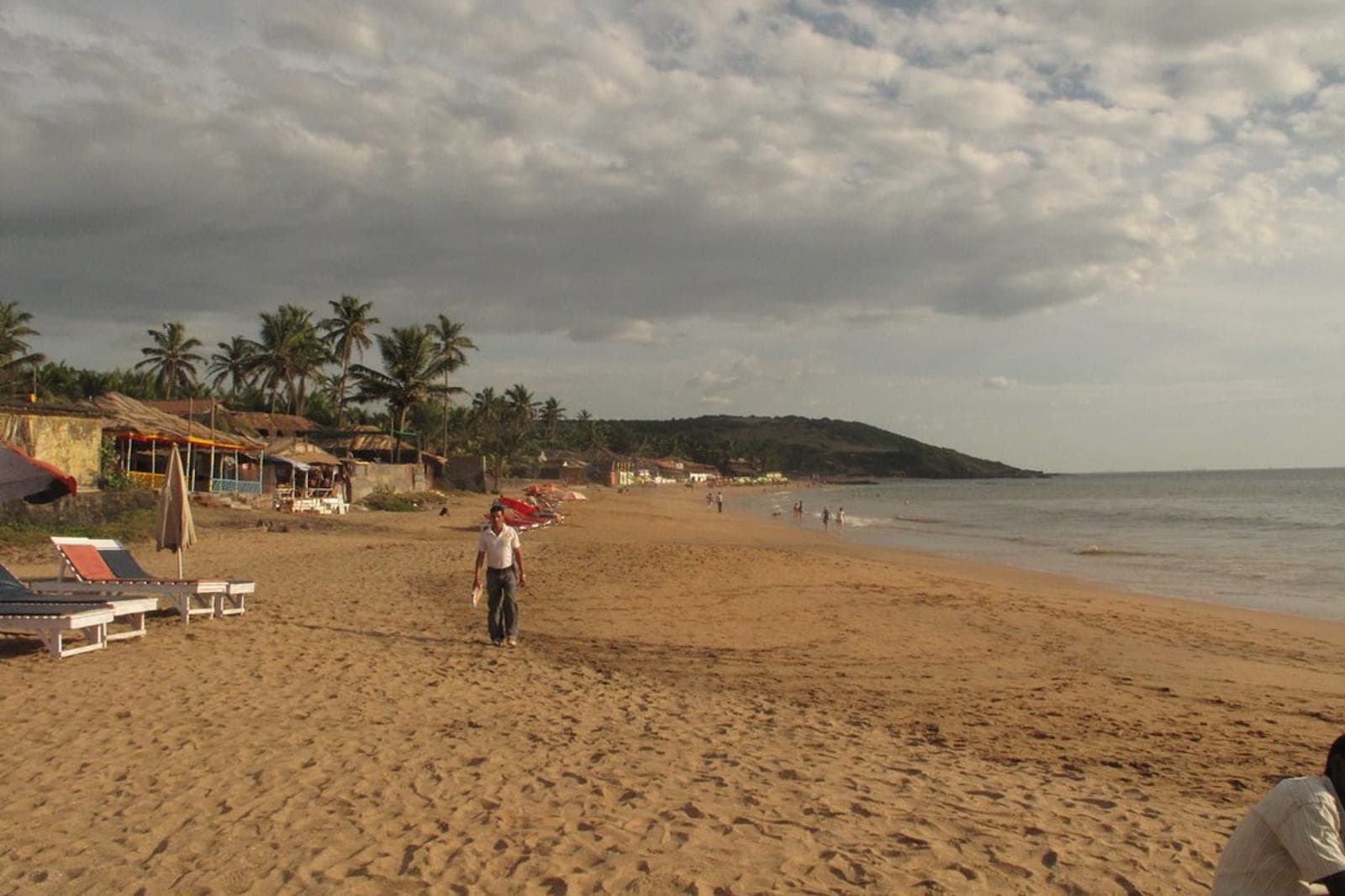 Palm-lined beach at low tide in the late afternoon